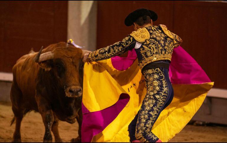 La muerte agónica del toro que conlleva la realización la 'fiesta taurina', no es susceptible de ser tutelado por los derechos culturales. CANVA/ ESPECIAL