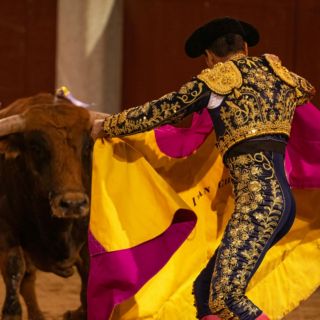 Jueza concede amparo en contra de las corridas de toros