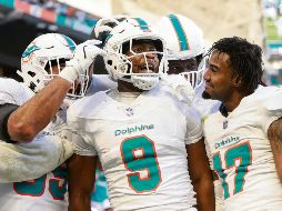 Los jugadores de los Dolphins se sienten respaldados por los dueños. AFP/C. Mandato