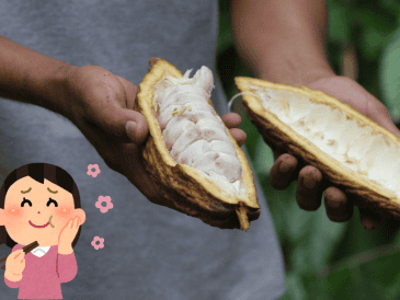 Disfruta de los productos que contienen cacao. SUN / ARCHIVO