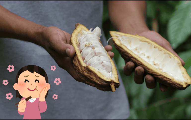 Disfruta de los productos que contienen cacao. SUN / ARCHIVO