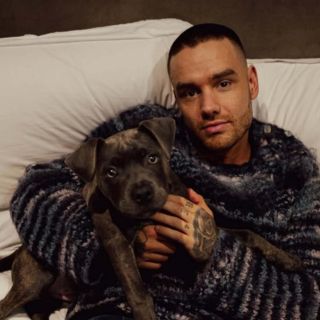 Filtran nuevos detalles de la muerte de Liam Payne