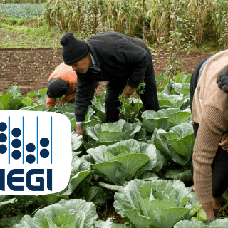 Informalidad generó 372 mil empleos, según el  Inegi