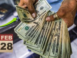 De acuerdo con un reporte de Bloomberg, el dólar comenzó la jornada de hoy debajo de los 20.50 pesos. AFP / ARCHIVO