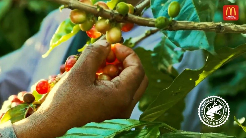 Al elegir McCafé, los consumidores también eligen apoyar a las comunidades locales gracias a la alianza con ellos.