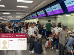 Aquellas personas que presenten su credencial INAPAM tendrán acceso a la membresía v.club de Volaris. EL INFORMADOR/ARCHIVO