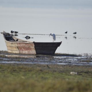 Semadet refuerza acciones para proteger los 13 humedales de Jalisco