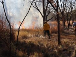 En las labores de control de las llamas trabajaron un total de 27 bomberos forestales. ESPECIAL/PC y Bomberos de Zapopan