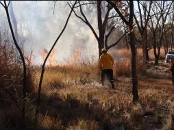 Del año 2020 a la fecha se han registrado 254 quemas, con daños a más de 14 mil hectáreas de arbolado. ESPECIAL