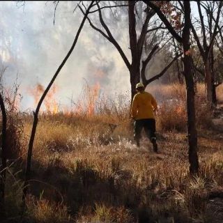 Acechan incendios e invasiones a La Primavera