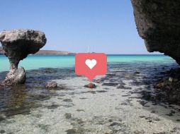 Este es el resultado de la recopilación de las opiniones y calificaciones de miles de turistas durante los últimos 12 meses. ESPECIAL / AYUNTAMIENTO DE LA PAZ