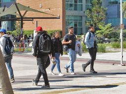 Esta beca se distingue por ofrecer una cobertura del 100 % para estudiar el idioma inglés en Proulex. ARCHIVO/ EL INFORMADOR