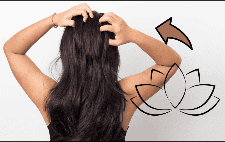 Como con cualquier práctica de bienestar, lo ideal es combinarla con una alimentación balanceada, un buen cuidado capilar y un estilo de vida saludable. CANVA