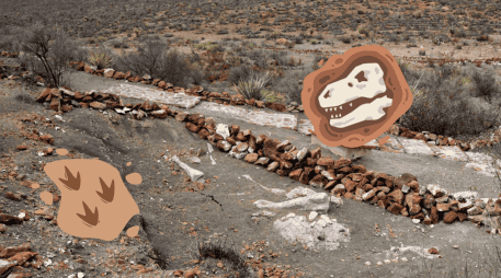 Esta zona paleontológica en México se encuentra abierta al público y es de gran relevancia tras descubrimientos de fósiles. EFE/INAH/Archivo