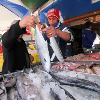 Cuaresma 2025: ¿Cuáles son los mariscos más baratos para esta temporada?