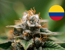 Petro pretendía quitar la prohibición para portar, producir, distribuir, vender y consumir cannabis y sus derivados por parte de mayores de 18 años. CANVA/ ESPECIAL