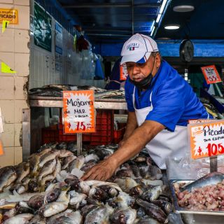 Los pescados más recomendados por los nutriólogos para esta cuaresma