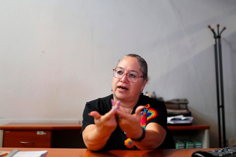 La directora del Consejo Estatal para la Prevención y Atención de la Violencia Intrafamiliar (CEPAVI), Ángeles González, habla en una entrevista en Guadalajara, Jalisco. EFE/ F. Guasco 