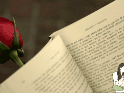 ChatGPT recomienda leer a estas escritoras por el 8 de marzo. EL INFORMADOR / ARCHIVO