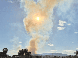 68 bomberos forestales intervienen para contener las llamas y evitar su avance hacia zonas habitadas. ESPECIAL