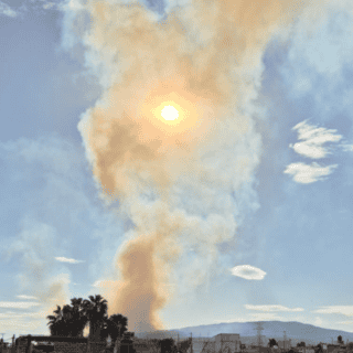 Brigadas atienden incendio forestal en Santa Anita