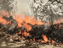 La alerta se mantendrá en vigor hasta que el incendio sea sofocado en su totalidad. ESPECIAL/Protección Civil JAL