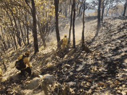La alerta se desactivó luego de que la Unidad Estatal de PC y Bomberos informó que el incendio fue extinguido en su totalidad. ESPECIAL