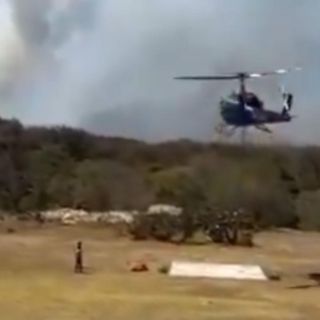 Reportan otro incendio forestal en el Bosque de la Primavera