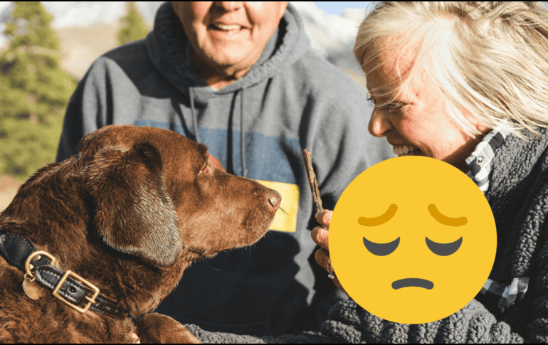 El tamaño de perros grandes influye en que vivan menos. UNSPLASH/ Chuwy