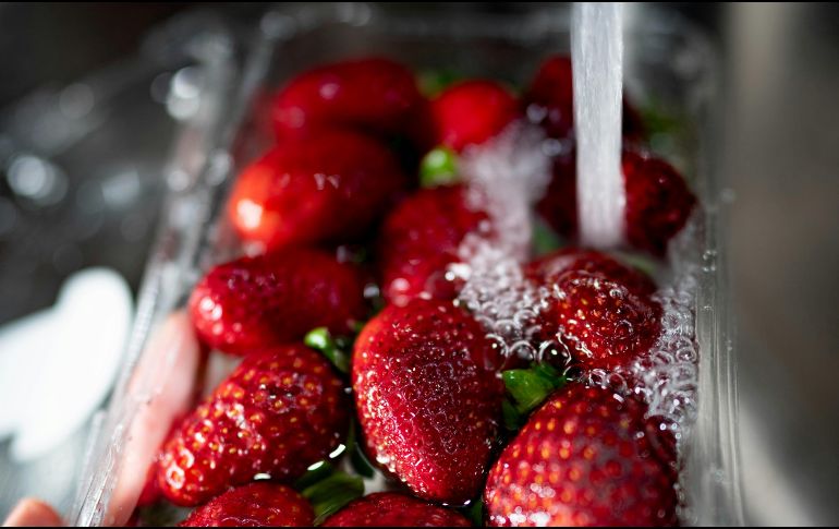 Varios aspectos se ven afectados si se corta el tallo antes de lavar las fresas. UNSPLASH / F. FERNANDO