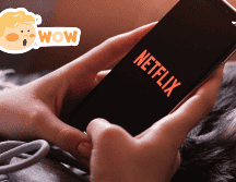 Conoce y disfruta los nuevos títulos de Netflix. ESPECIAL / Pixabay @yousafbhutta
