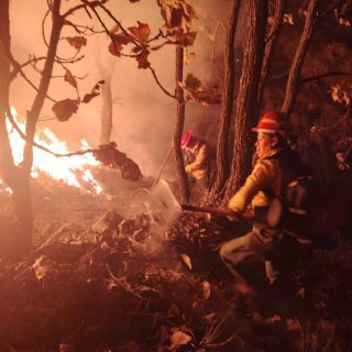 Declaran controlado incendio forestal en el Bosque La Primavera