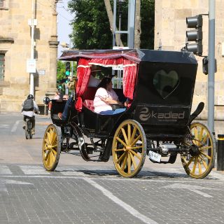 Avanza cambio a calandrias eléctricas en el Centro tapatío