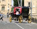En el Centro Histórico de Guadalajara aún hay 39 carruajes que son jalados por los animales. EL INFORMADOR/ ARCHIVO.