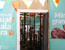 En este espacio también hay peces, un puerco vietnamita, gallos, gallinas, guajolotes, borregos y chivos. EL INFORMADOR/ H. Figueroa.