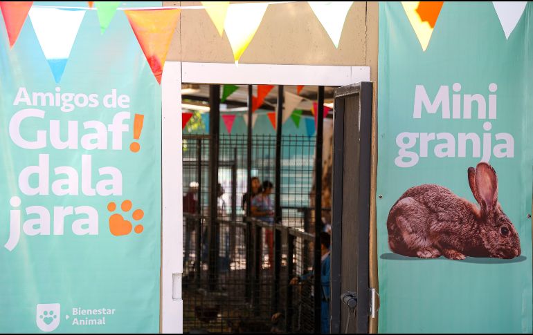 En este espacio también hay peces, un puerco vietnamita, gallos, gallinas, guajolotes, borregos y chivos. EL INFORMADOR/ H. Figueroa.