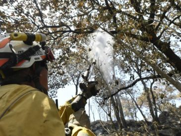 La Alerta hoy desactivada aplicó para los municipios de Zapopan, Tala, El Arenal, Guadalajara, Tlajomulco, Teuchitlán, Ameca, Ahualulco y San Juanito Escobedo. CORTESÍA / PC y Bomberos de Jalisco