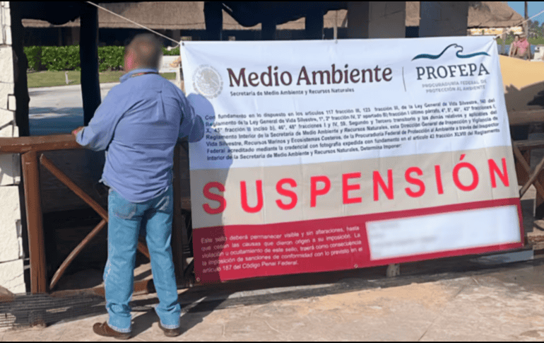 La Profepa suspende espectáculos con delfines en Riviera Maya. SUN/ ESPECIAL