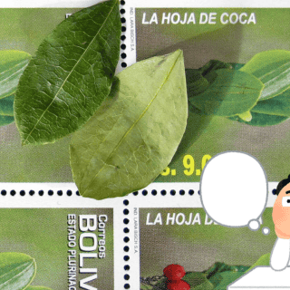 Colombia insiste ante ONU en quitar la hoja de coca de la lista de sustancias dañinas
