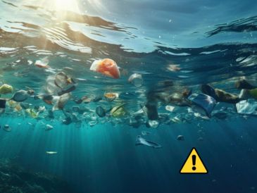 Los desechos del fondo de la fosa de Calipso provienen de diversas fuentes, tanto terrestres como marinas. Freepik y Canva