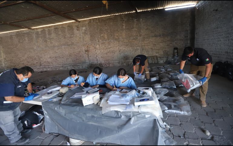 El trabajo de las y los peritos continúa para determinar la antigüedad exacta de los restos y sus posibles identificaciones. ESPECIAL