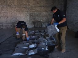 Fiscalía de Guanajuato no destacarta la presencia de guanajuatenses en el lugar. ESPECIAL / FISCALÍA DE JALISCO