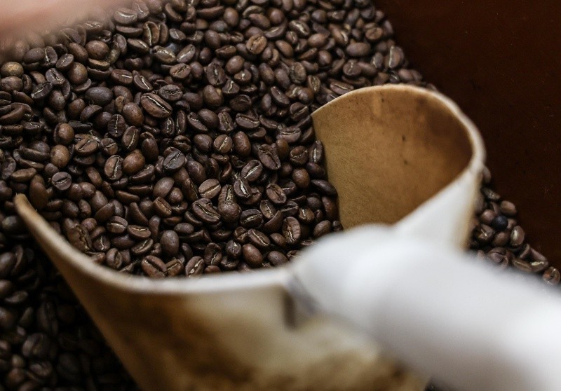  Desde enero, el precio del café va al alza. EL INFORMADOR/A. NAVARRO