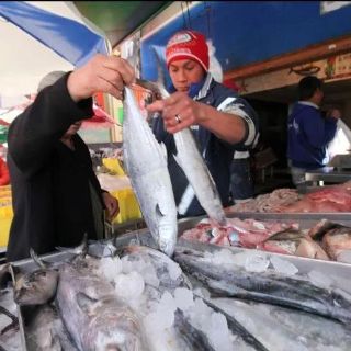 Profeco inicia operativo de vigilancia por Cuaresma y Semana Santa