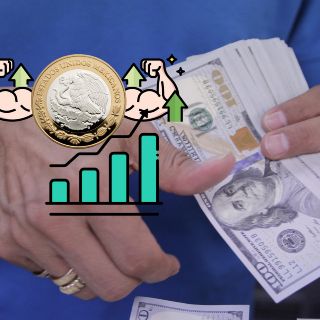 Peso mexicano resiste frente al dolar pese a los aranceles a metales