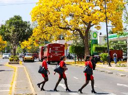 Durante la primavera se quedan atrás las bajas temperaturas propias del invierno, y comienza a sentirse más calidez en el ambiente, lo que propicia el crecimiento y desarrollo de la vegetación. EL INFORMADOR / ARCHIVO