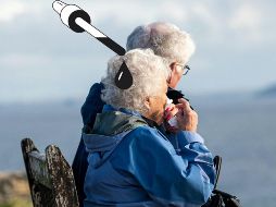 Tres formas naturales de oscurecer las canas. UNSPLASH / S.  GODFREY