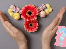 Implementar estos remedios en una rutina saludable puede contribuir al equilibrio hormonal. ESPECIAL / CANVA / atlasstudio