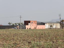 Edith Olivares Ferreto, directora Ejecutiva de Amnistía Internacional, sección mexicana, instó a las autoridades mexicanas a esclarecer los hechos de manera pronta. CORTESÍA.