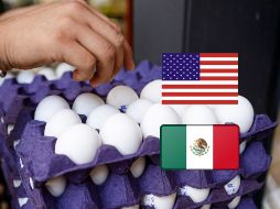 México se convirtió en el principal proveedor de huevo de Estados Unidos. EL INFORMADOR / ARCHIVO